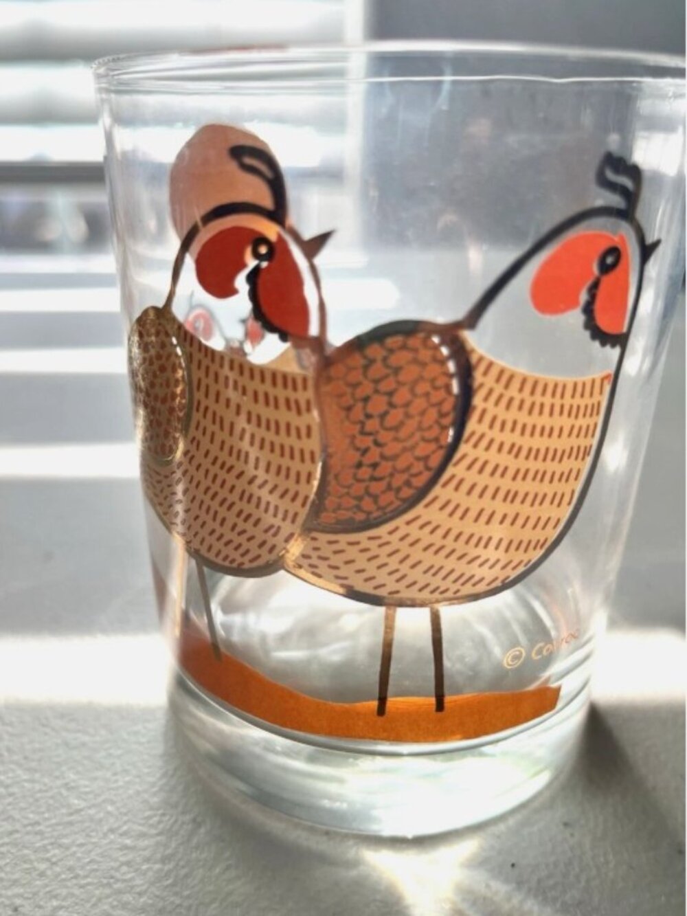 HTF!! SET OF 6 Vintage COUROC Patridge Family Birds Lowball Glasses MCM Barware